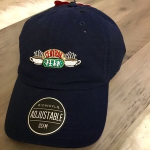 NWT Friends dad hat (hats 2/$25)
